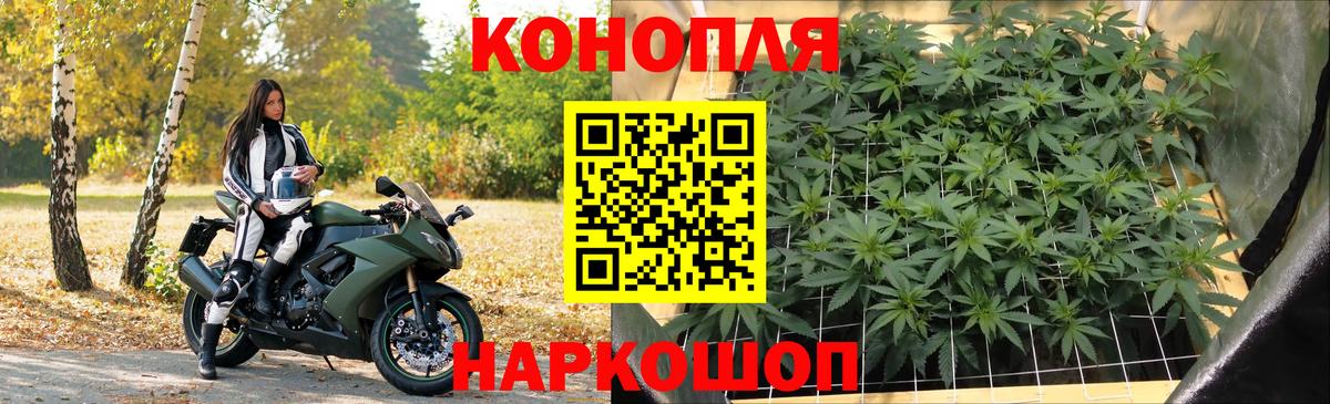 Конопля план  Канабис SATIVA & INDICA  Вход с VPN  Лабытнанги  Шишки марихуана планчик 
